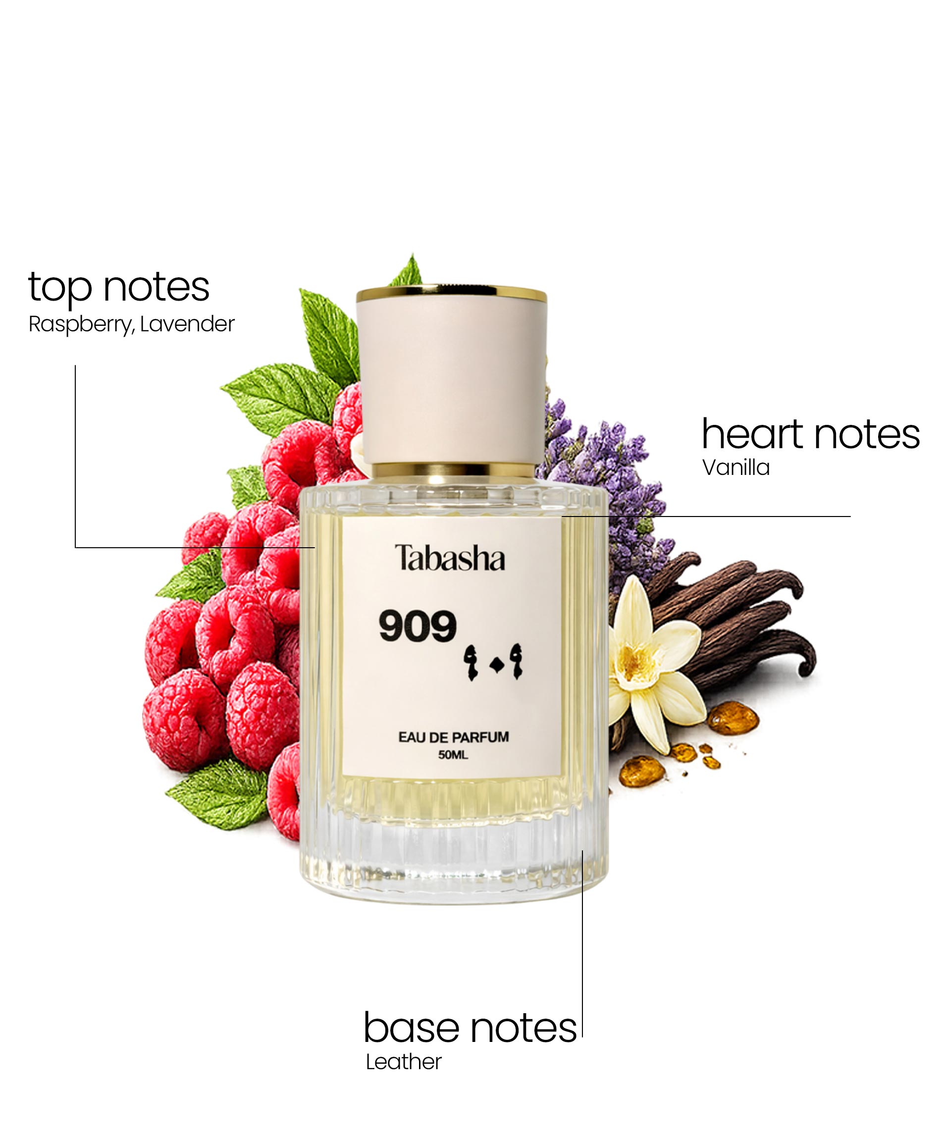 909 / ۹۰۹ 909 / ۹۰۹